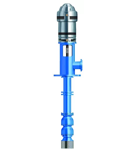 Goulds Water Technology VIT-FFFM 13RAHC